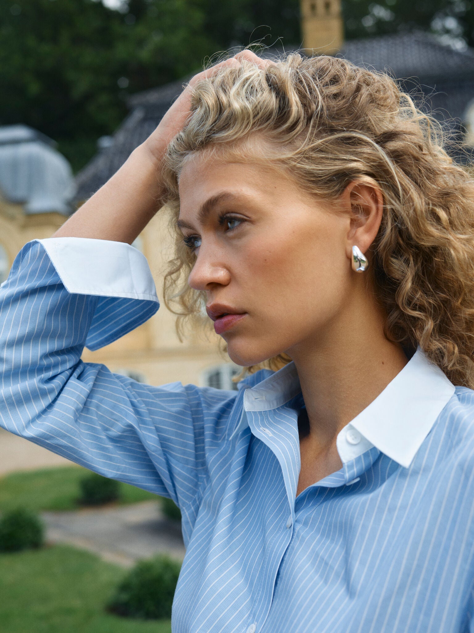 Modelshot / Hydrangea / Detail